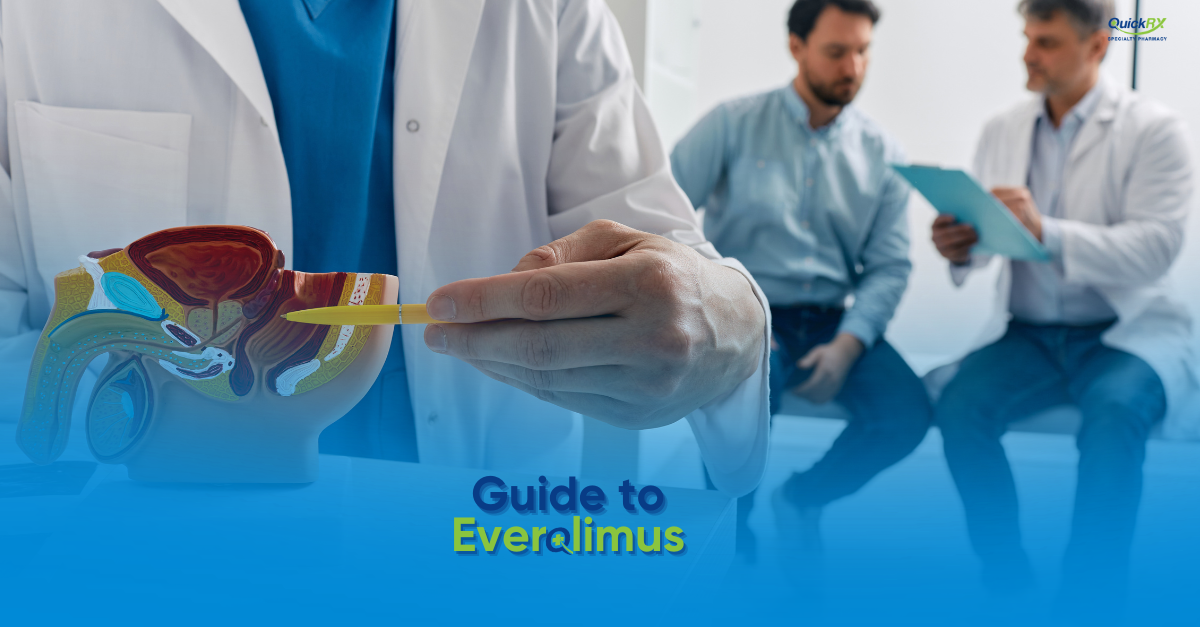 Doctor pointing to an anatomical model during a patient consultation, illustrating a QuickRX Specialty Pharmacy guide to everolimus
