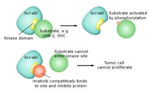 Mechanism Imatinib - copay assistance
