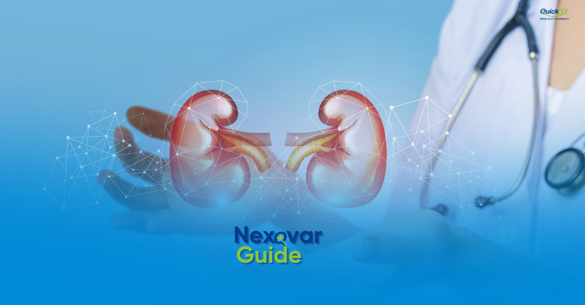 Illustration of human kidneys with a digital network overlay, for a QuickRX Specialty Pharmacy guide to Nexavar