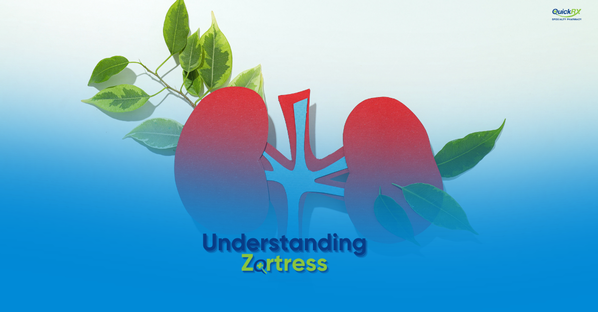 Paper-cutout illustration of kidneys with green leaves, for a QuickRX Specialty Pharmacy guide to understanding Zortress