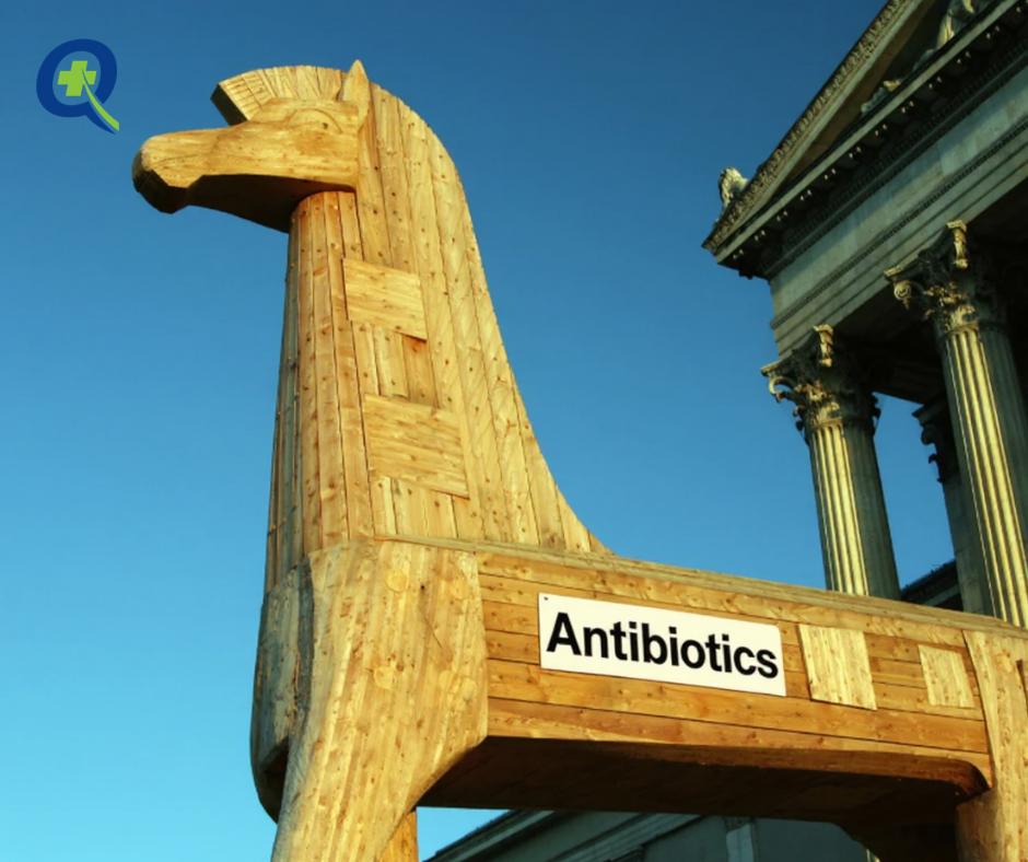Trojan horse labeled antibiotics representing how C. diff infections develop after antibiotic use