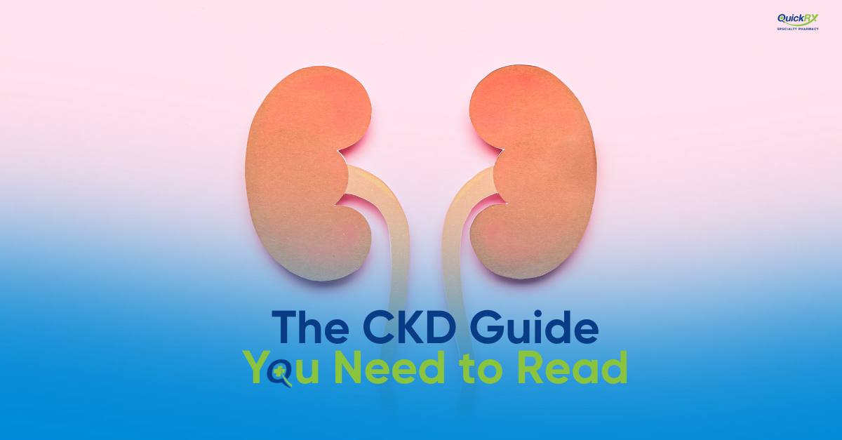 3D illustration of human kidneys on gradient blue background for chronic kidney disease CKD patient education guide
