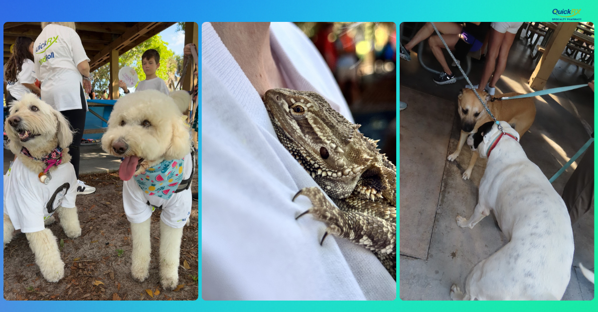 Pets (2)